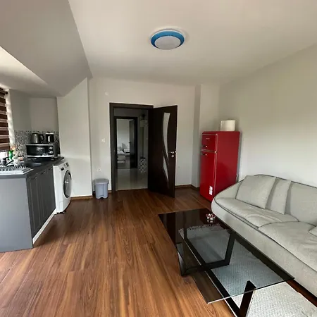 Apartment Vinitsa *